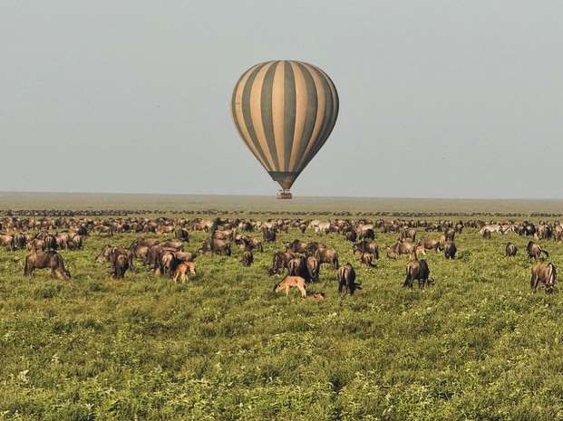 12 Days Botswana-Tanzania Great Migration Safari