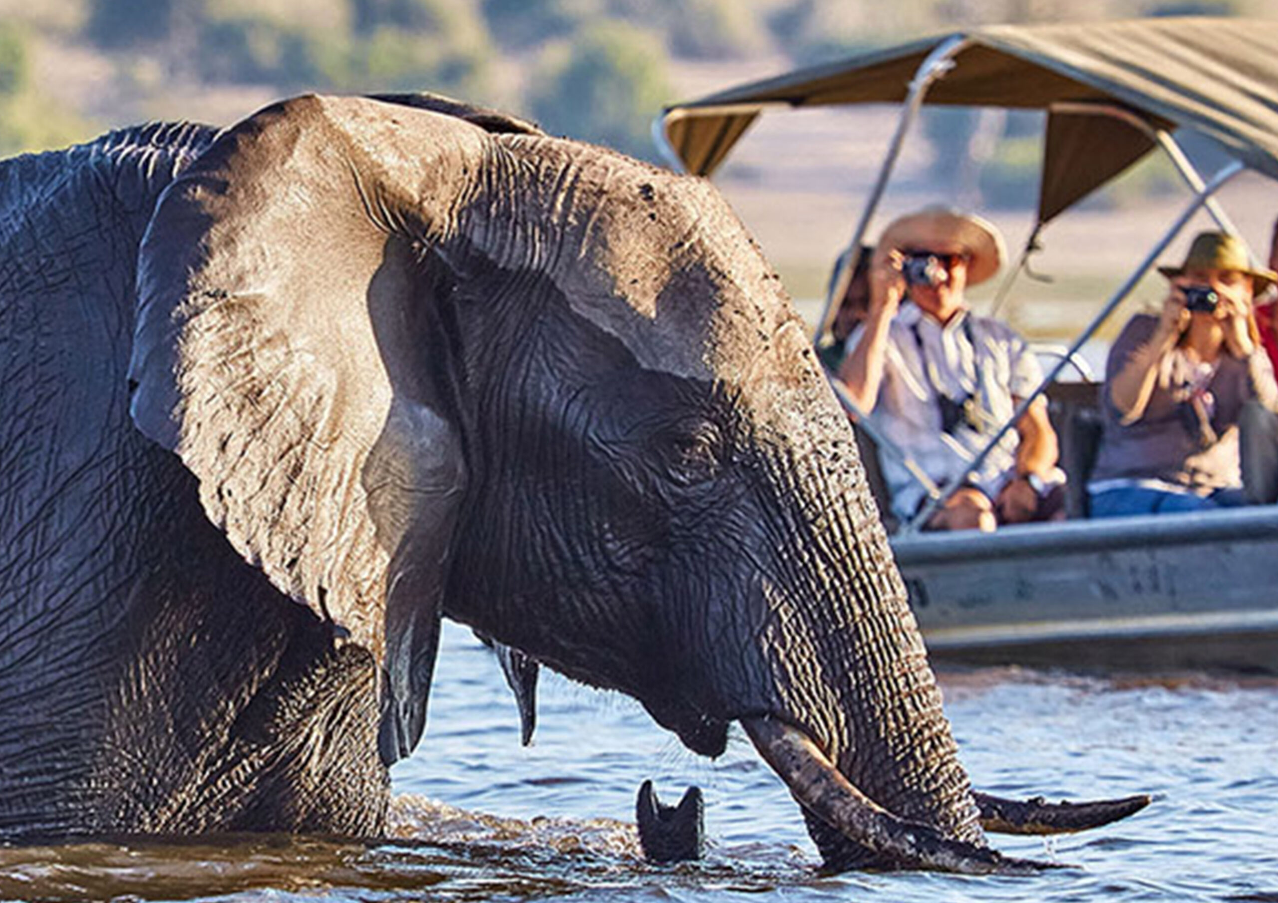 Botswana Safari-Rwanda Gorilla Trekking
