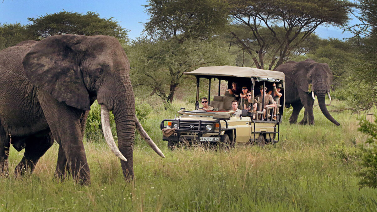  Lake Manyara National Park 