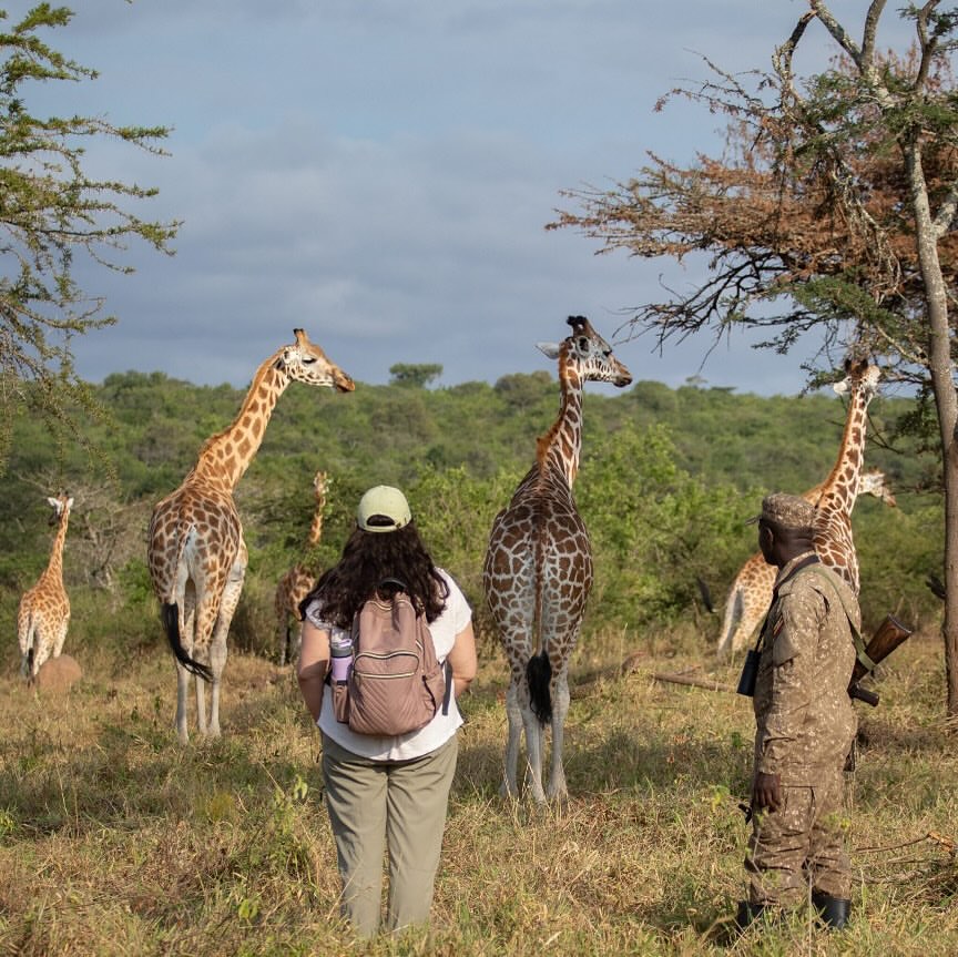 7; Early Morning walking safari in lake Mburo park lunch & Return to Kampala