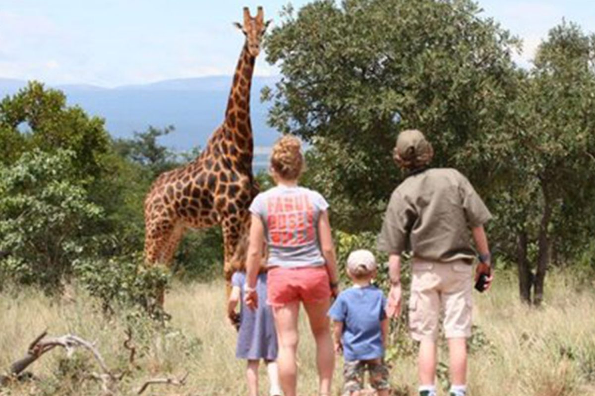 Uganda Gorilla Trekking from Switzerland