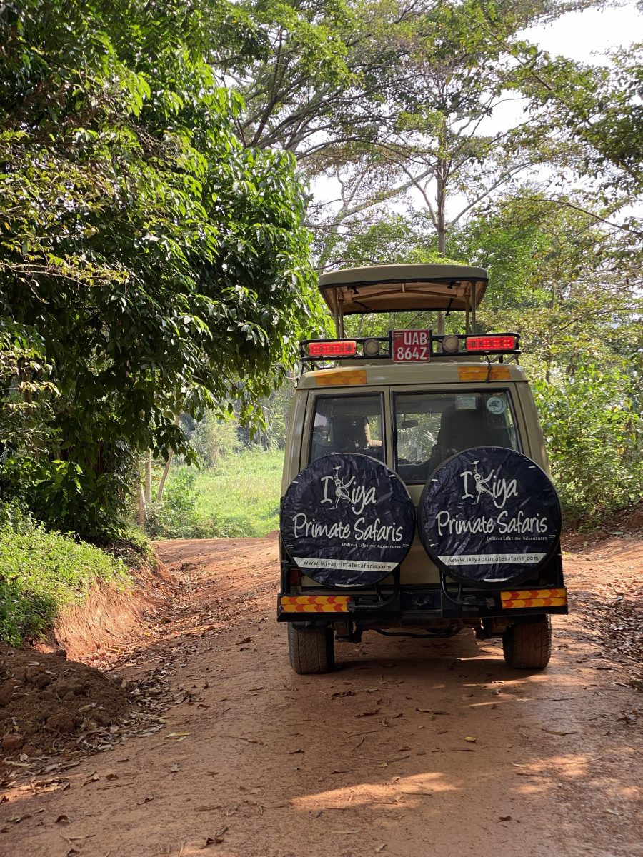 Uganda Safari From USA