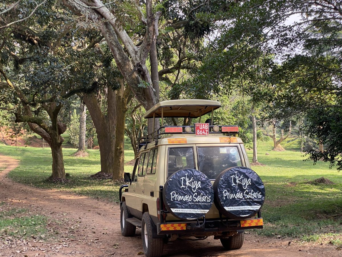 Uganda Gorilla Trekking from Germany