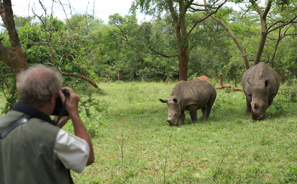 Uganda Gorilla Trekking from Switzerland