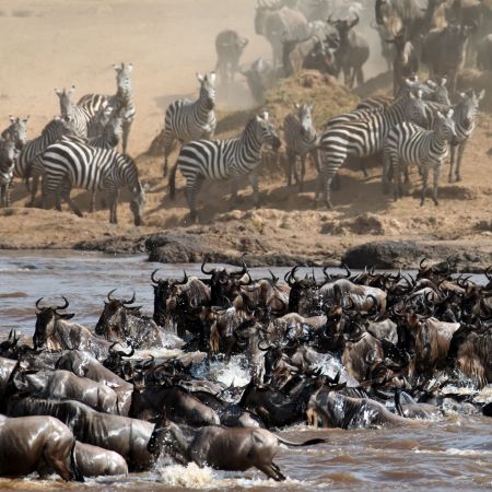 Africa Safari Holiday