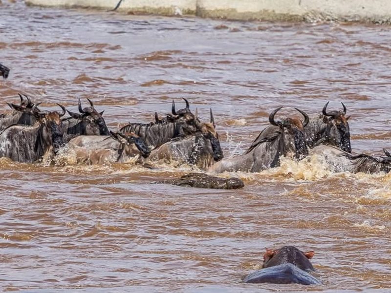 15 day Ugandakanya